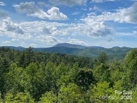 241 Peppervine Circle, Rosman, NC 28772