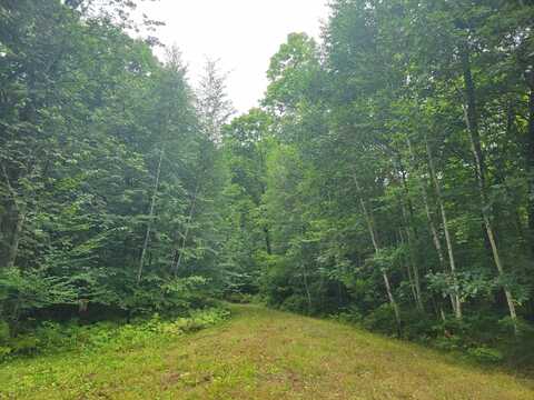 0 ST. JOHNS LANE, Crandon, WI 54520
