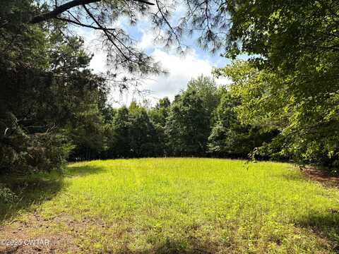 00 Old Hwy 69 & Hog Creek Rd, Sugar Tree, TN 38380
