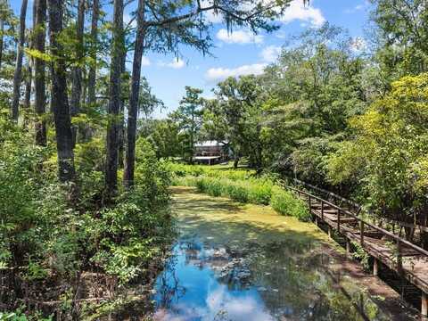 872 835th St, Old Town, FL 32680