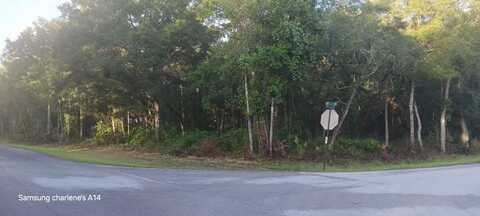 74 terr 153rd Ln, Chiefland, FL 32626