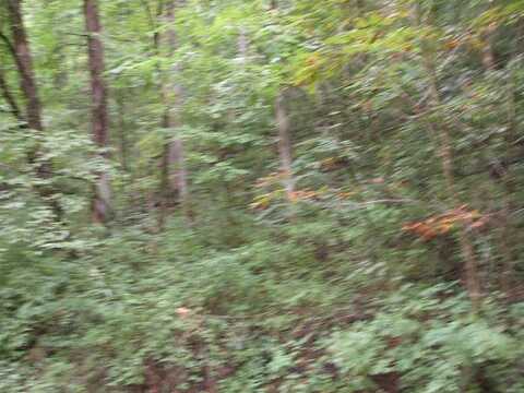0 DB 702 DP 418 Prater Creek, Hueysville, KY 41640