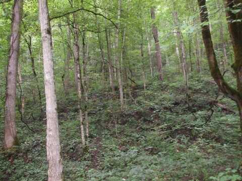 0 DB 702 DP 418 Midas Road, Hueysville, KY 41640