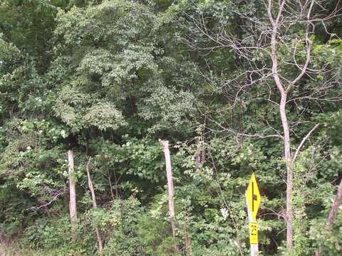 0 DB 702 DP 418 KY RT 550, Hueysville, KY 41640