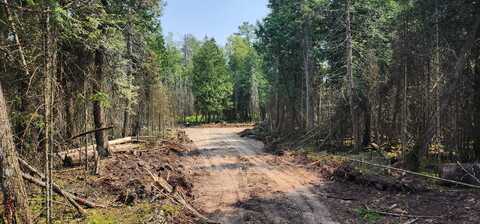 1 N Shiawasee TRL, Hessel, MI 49745