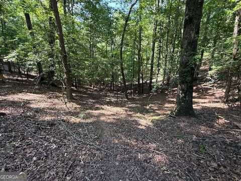 2115 Palisade DR, Ellijay, GA 30540