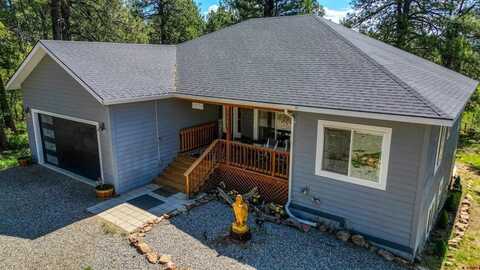 581 Hills Circle, Pagosa Springs, CO 81147