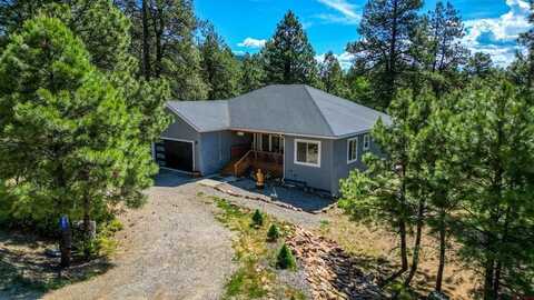 581 Hills Circle, Pagosa Springs, CO 81147