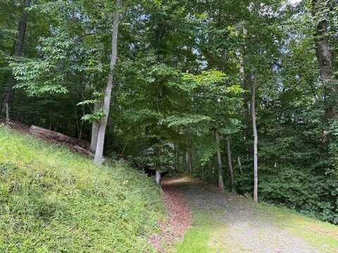 98 LONESOME DOVE LN, Whittier, NC 28789
