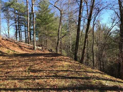 Saturn Way, Topton, NC 28781