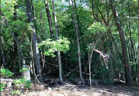 0.68 Valley View, Ellijay, GA 30536