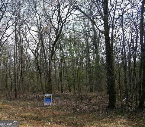 Lot 28 Benjamin Brown, Elberton, GA 30635