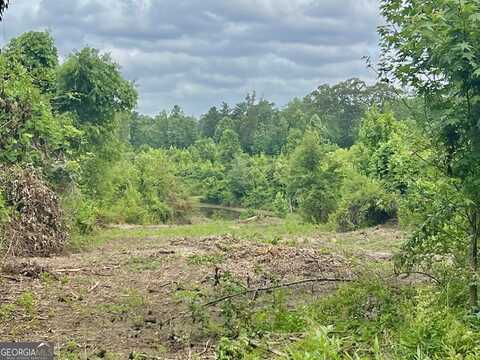 0 Folds Rd (Tract D - 22.67 Acres), Carrollton, GA 30116
