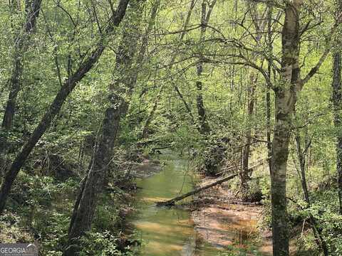 90 +/- Acres English, Forsyth, GA 31029