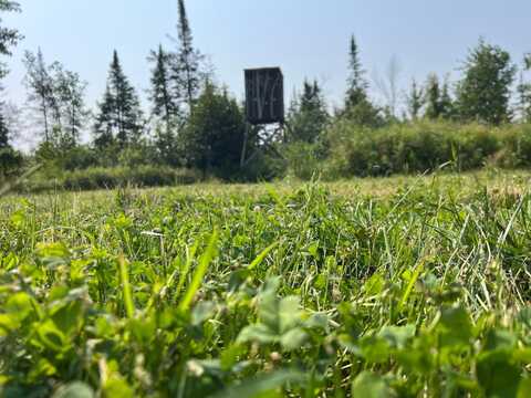 On SAINDON RD, Tomahawk, WI 54487