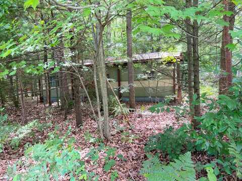 8317 W Seapine Drive, Mears, MI 49436