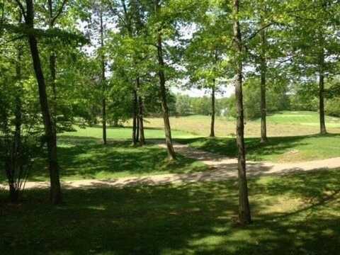9137 Briarstone Drive, Stanwood, MI 49346