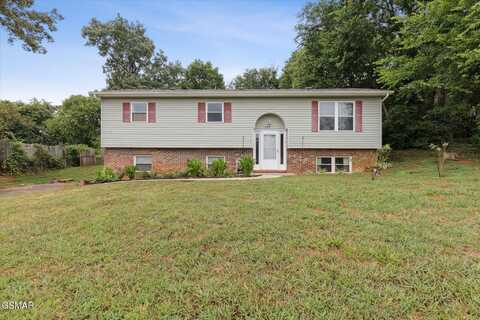 205 Blue Ridge Lane, Seymour, TN 37865