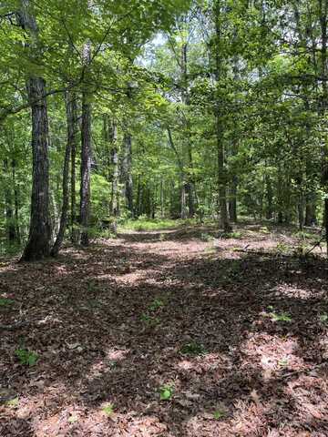 Sipsey Trl, Greenwood Springs, MS 38848