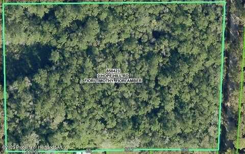 Hope Hill Road, Brooksville, FL 34601