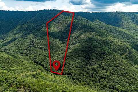 0 WILSON RUN TRL, MILAM, WV 26838
