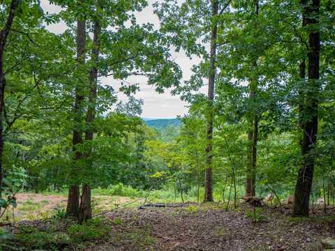 100 Block SPANISH MINE, Jessieville, AR 71909