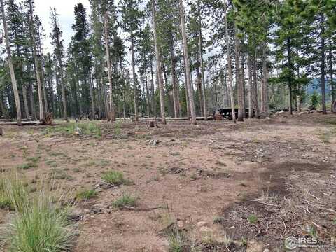 1921 Osage Trl, Red Feather Lakes, CO 80545