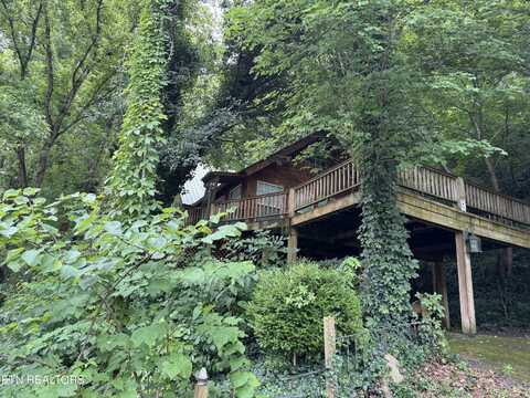 1668 Cherohala Skwy, Tellico Plains, TN 37385