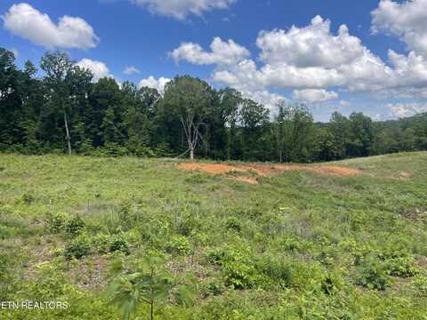 Lot 14 Laura Boling Loop Rd, Strawberry Plains, TN 37871