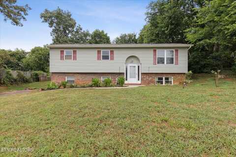 205 Blue Ridge Lane, Seymour, TN 37865