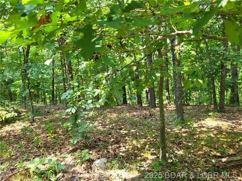 Lee Drive, Edwards, MO 65326