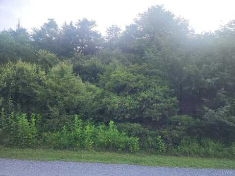 0 Twin Lakes Drive, Bedford, VA 24523
