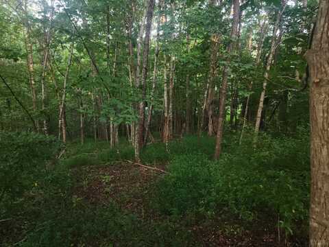 0 Twin Lakes Drive, Bedford, VA 24523