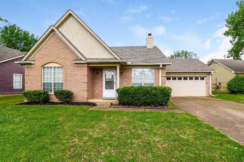 5336 TIMBER RIDGE, Memphis, TN 38141
