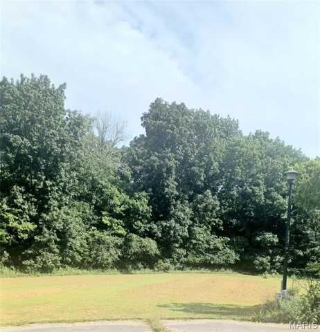 8 Summers Breeze Court, Hawk Point, MO 63349