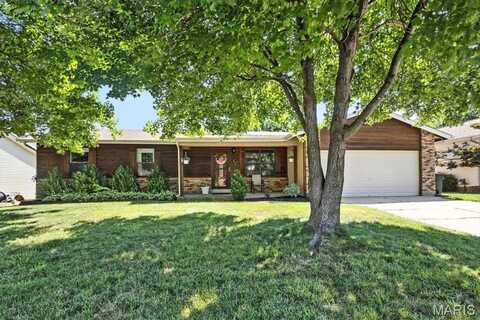 47 Valley View Drive, Saint Peters, MO 63376