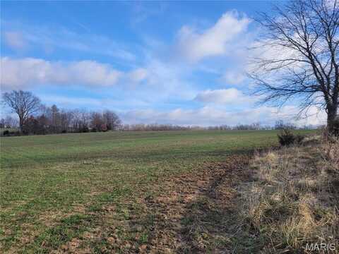 0 Bales Rd. (26.5+/- Acres), Middletown, MO 63359