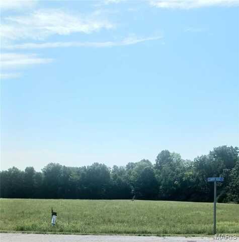 20 Summers Drive, Hawk Point, MO 63349