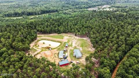955 Anna Poole Road Road, Sparta, GA 31087