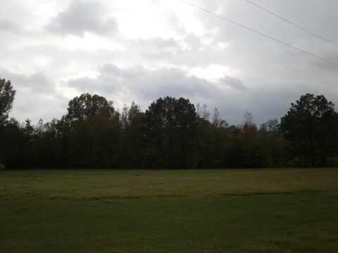1119 Wilson Lane, Crystal Springs, MS undefined