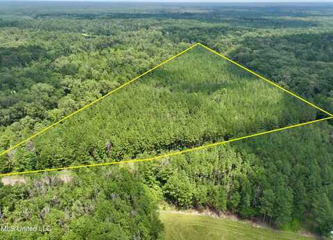 Miggins Road, Canton, MS 39046