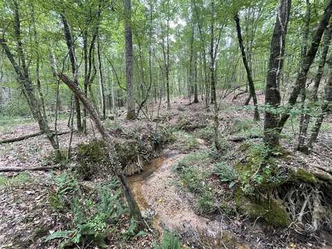 0 Antioch Road, Hazlehurst, MS 39083