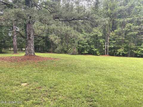 2450 Ms-17, Camden, MS 39045