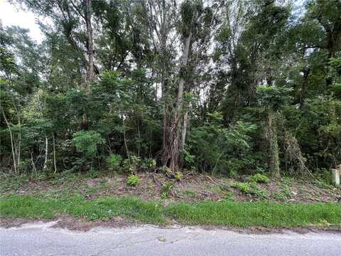 0 SE 135 PLACE, SUMMERFIELD, FL 34491