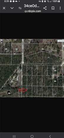 0 SE 120 AVENUE, MORRISTON, FL 32668