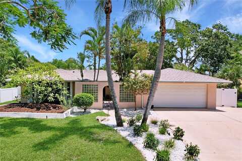129 CARLYLE DRIVE, PALM HARBOR, FL 34683