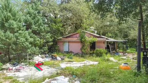 20556 SE 156TH PLACE, UMATILLA, FL 32784