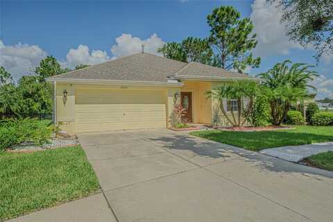 20520 SULTANA COURT, TAMPA, FL 33647