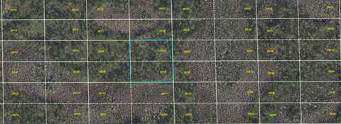 DILL ROAD, ORLANDO, FL 32820