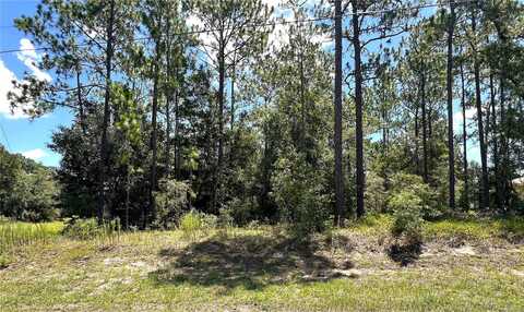 0000 SW 68 LOOP LOOP, DUNNELLON, FL 34432